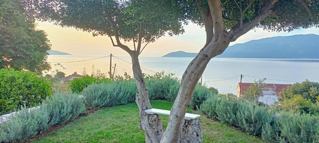 Photo of Others in Agia Efimia