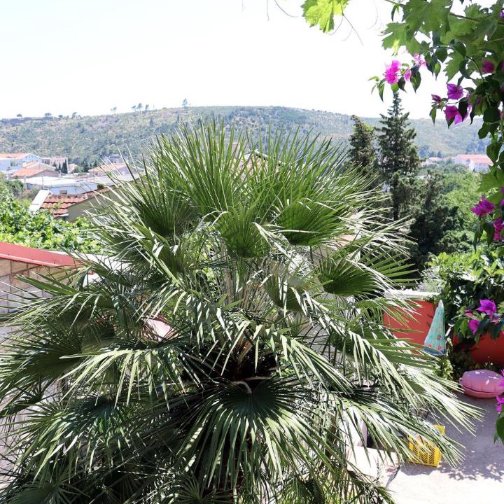 Photo of Others in Zgrade