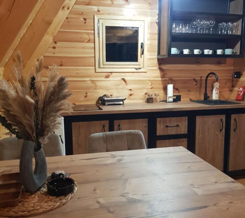 Photo of Kitchen in Milosevici