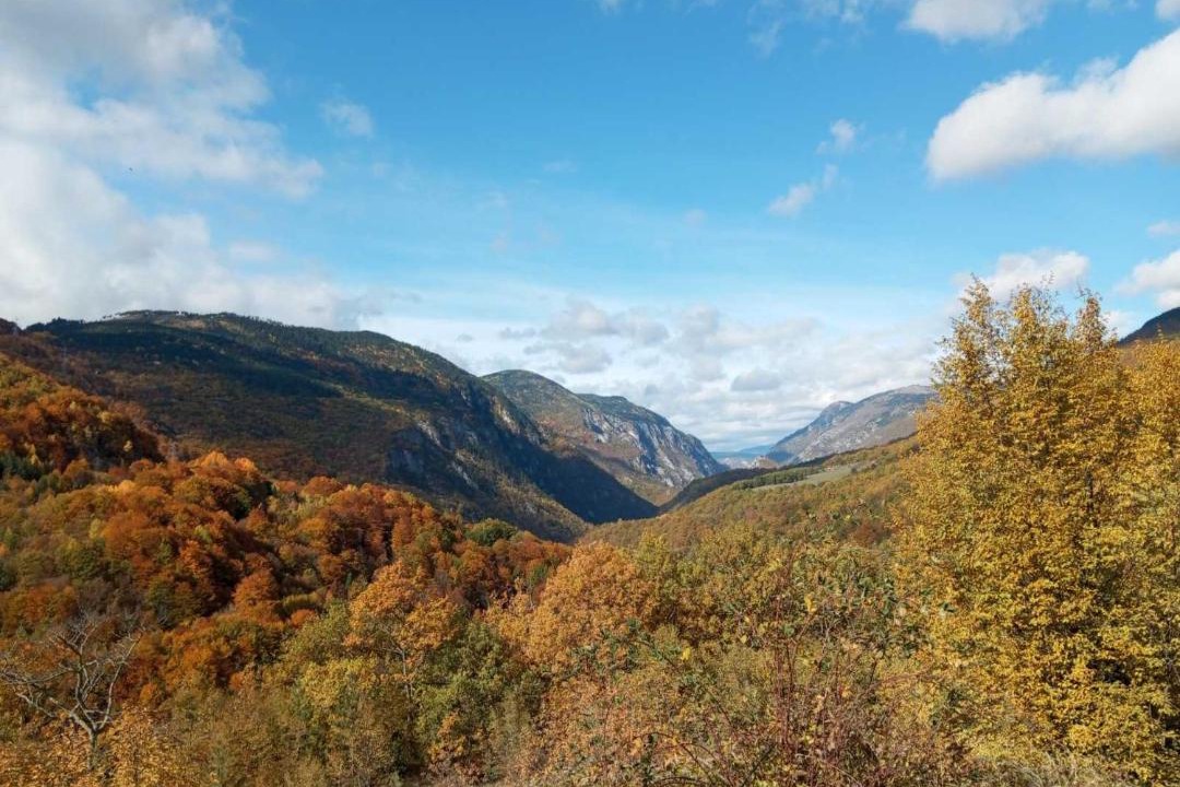 Photo of Others in Montenegro
