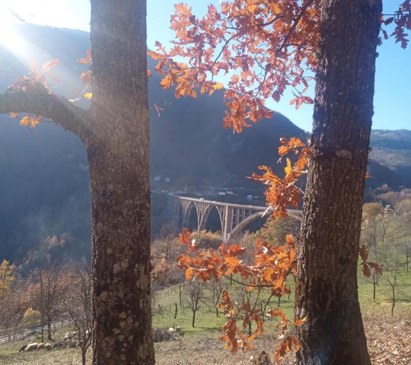 Photo of Others in Montenegro