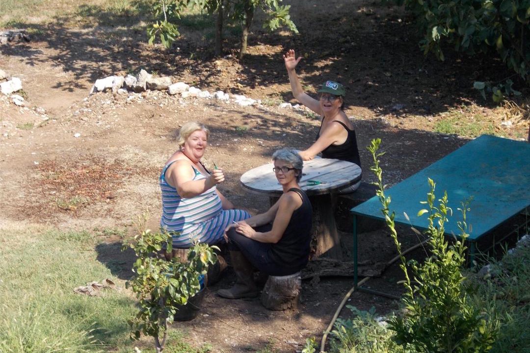 Photo of Others in Karuc