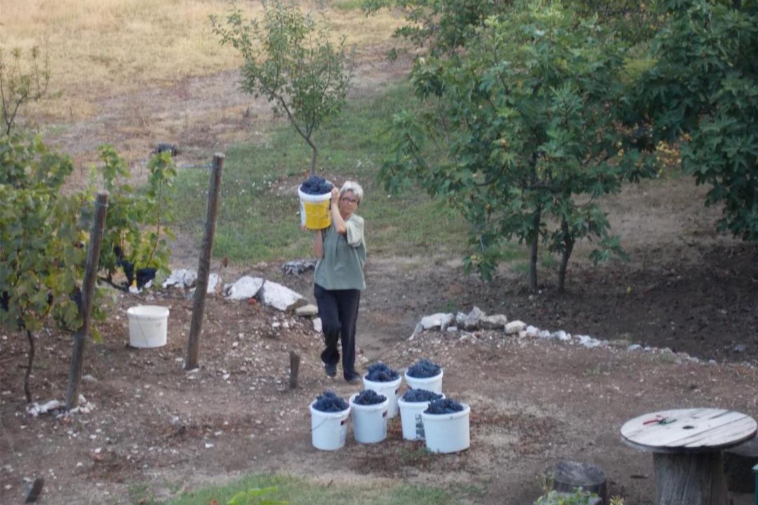Photo of Others in Karuc
