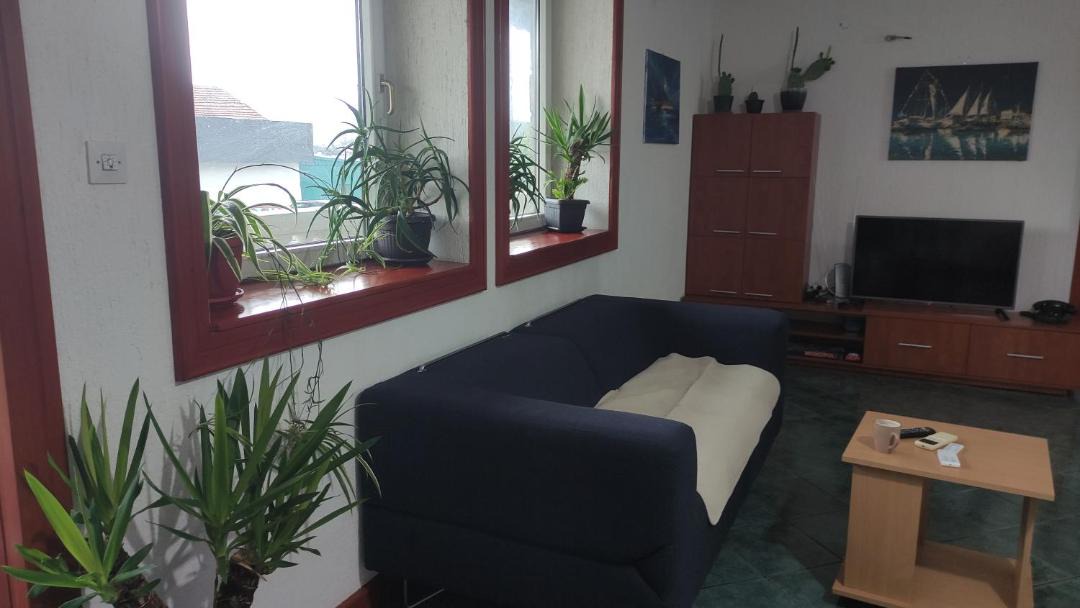 Photo of Livingroom in Zelenika