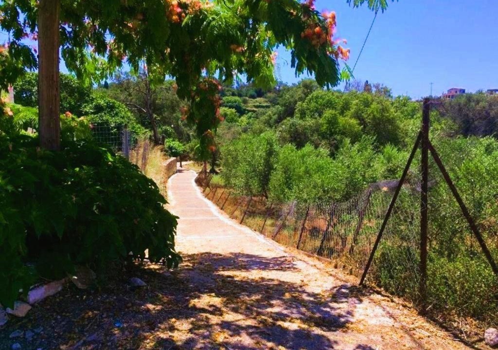 Photo of Others in Paleokastritsa