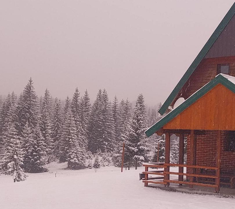 Photo of Others in Zabljak