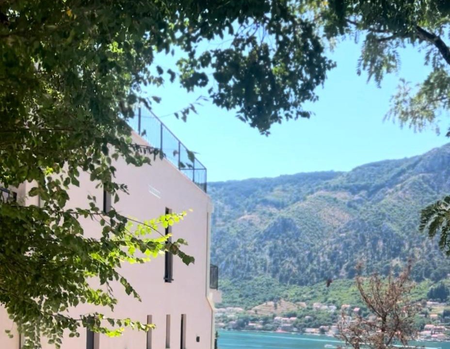 Photo of Others in Kotor