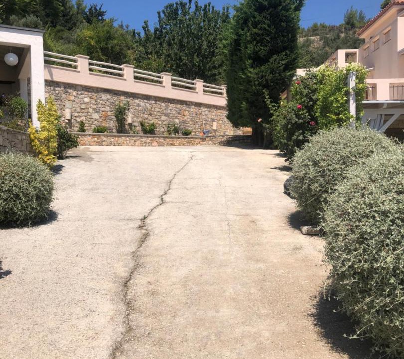 Photo of Others in Alonissos