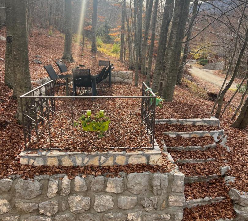 Photo of Others in Cetinje