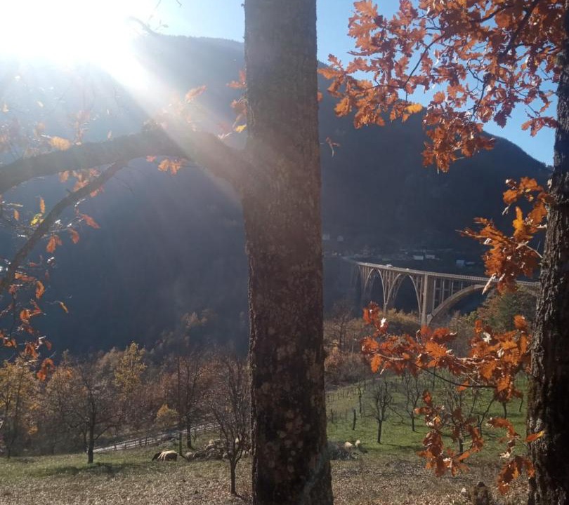Photo of Others in Montenegro