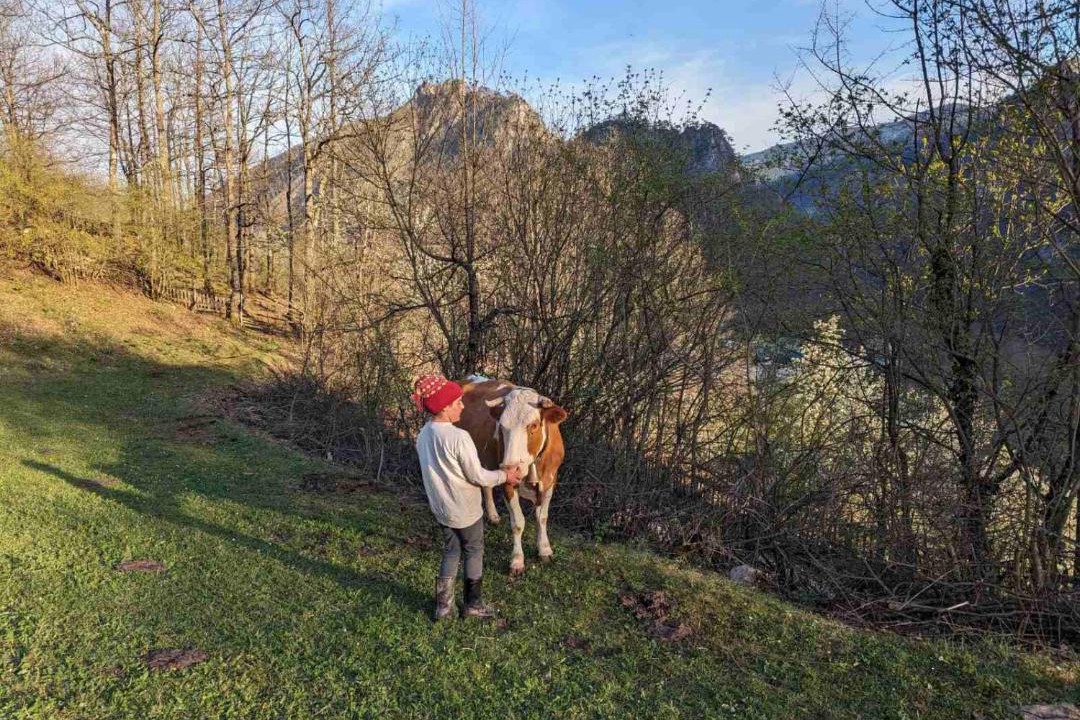 Photo of Others in Montenegro
