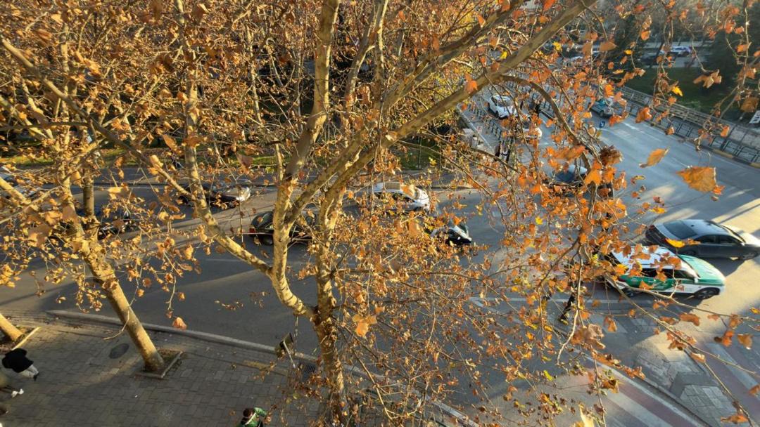 Photo of Others in Tirana