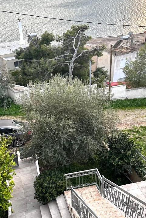 Photo of Others in Limni Vouliagmenis