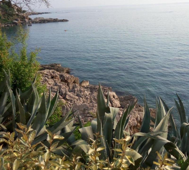 Photo of Outdoor in Dobra Voda