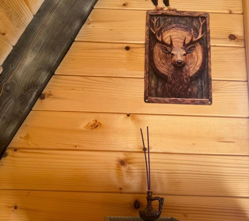 Photo of Others in Mojkovac