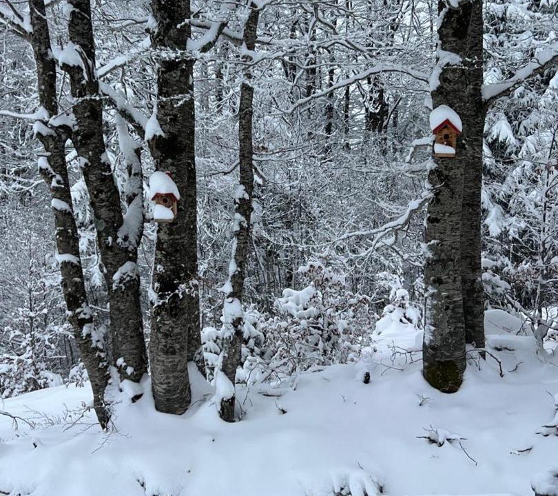 Photo of Others in Zabljak