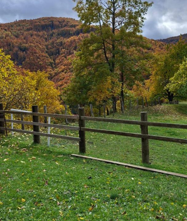 Photo of Others in Andrijevica
