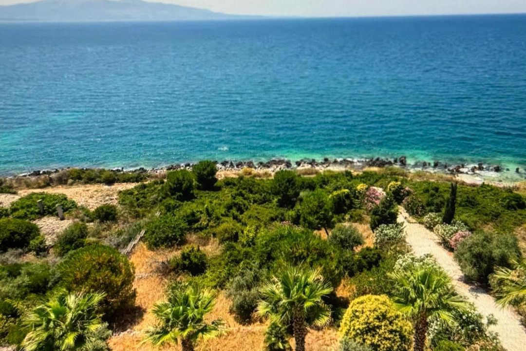 Photo of Others in Afionas