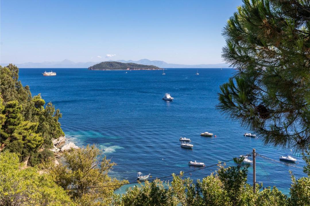 Photo of Others in Skiathos Town
