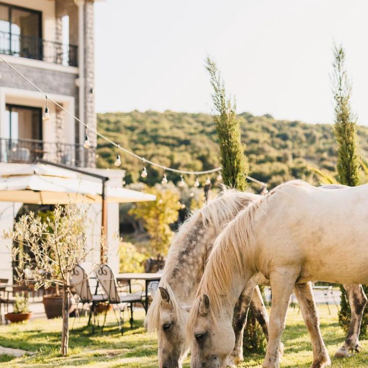 Photo of Others in Ulcinj