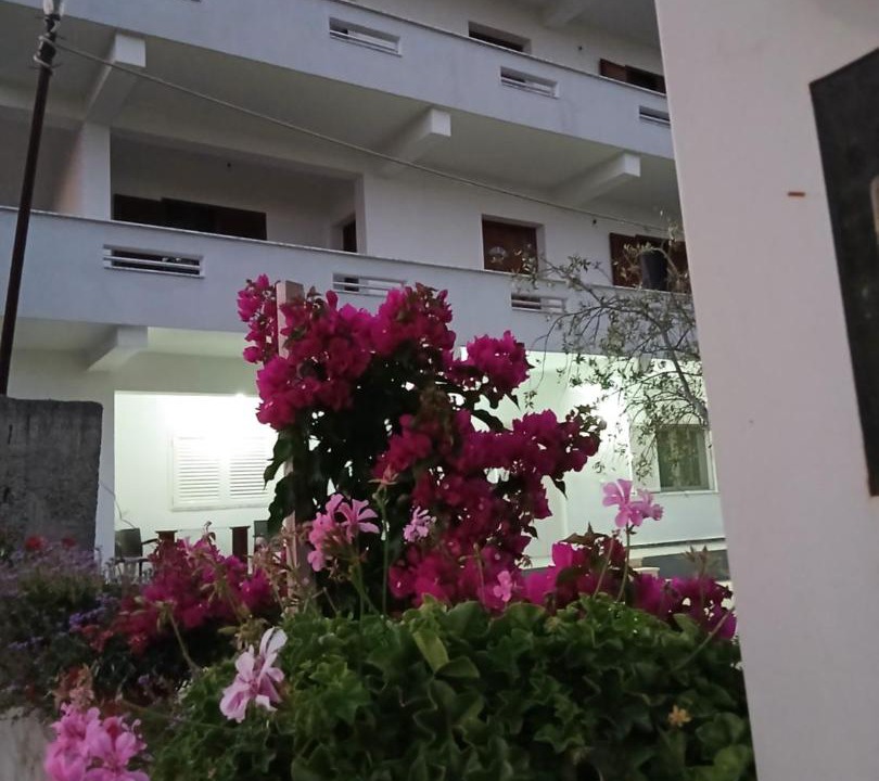 Photo of Others in Durres
