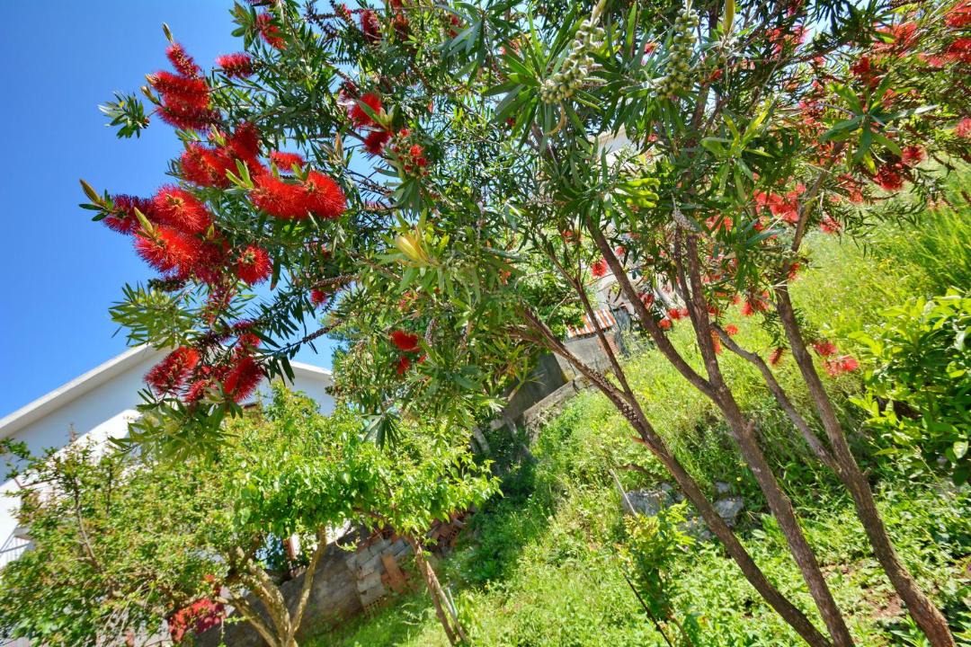 Photo of Outdoor in Krasici
