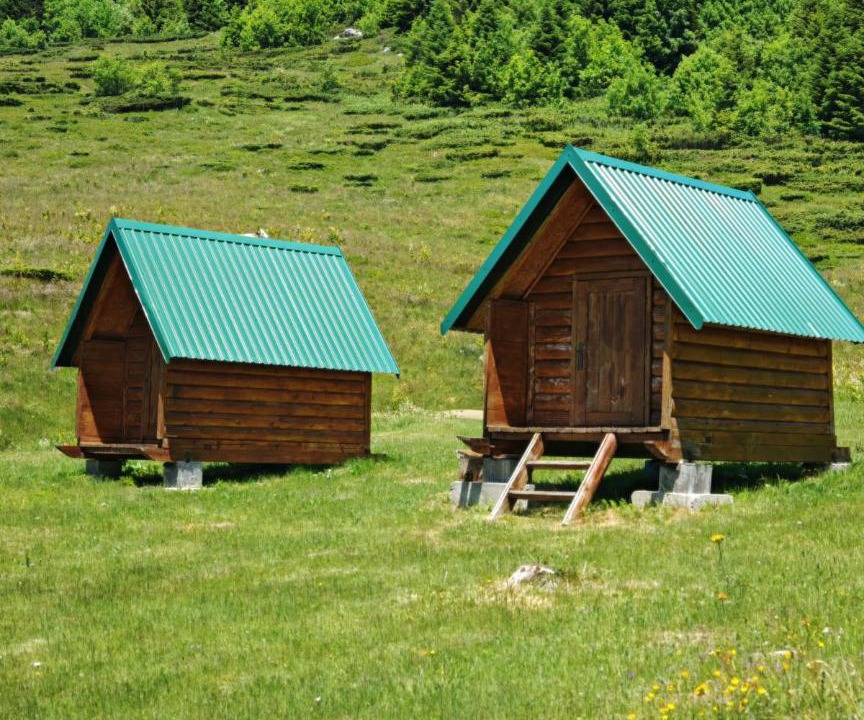 Photo of Others in Montenegro