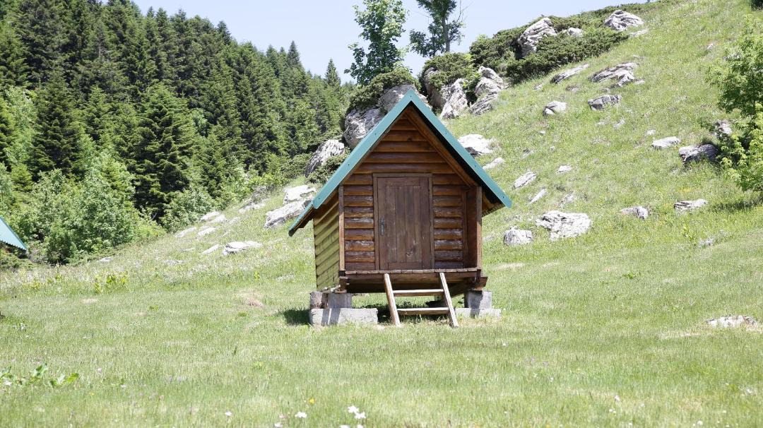Photo of Others in Montenegro