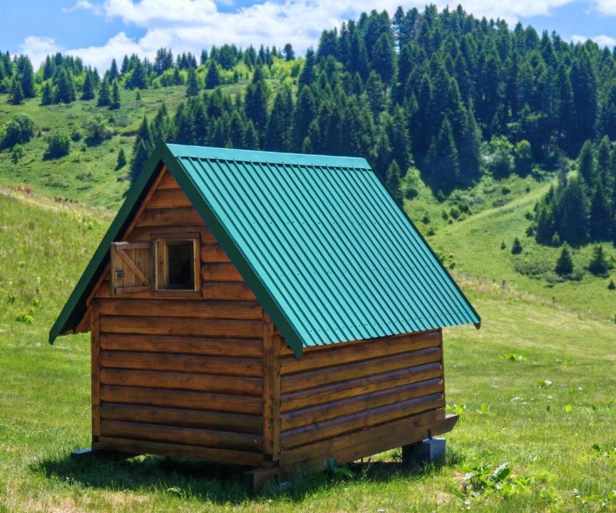 Photo of Others in Montenegro