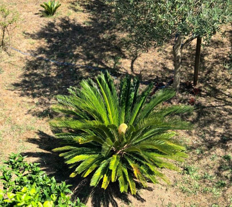 Photo of Outdoor in Gjerana