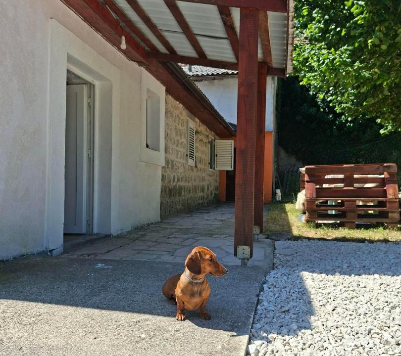 Photo of Others in Grahovo