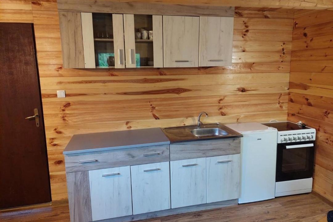 Photo of Kitchen in Savnik