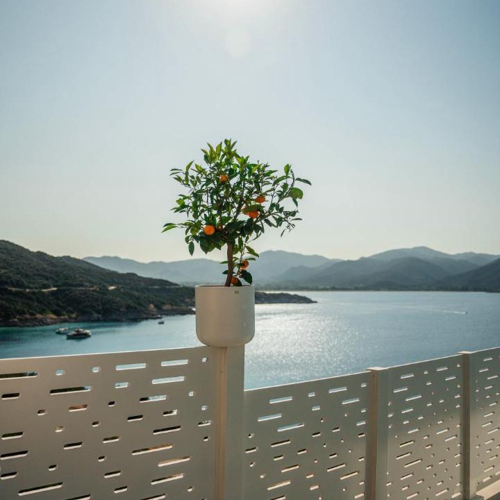 Photo of Others in Sithonia