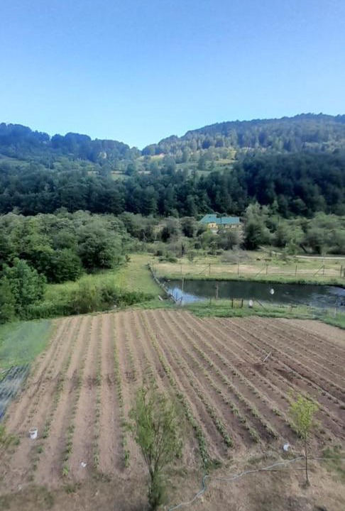 Photo of Others in Montenegro