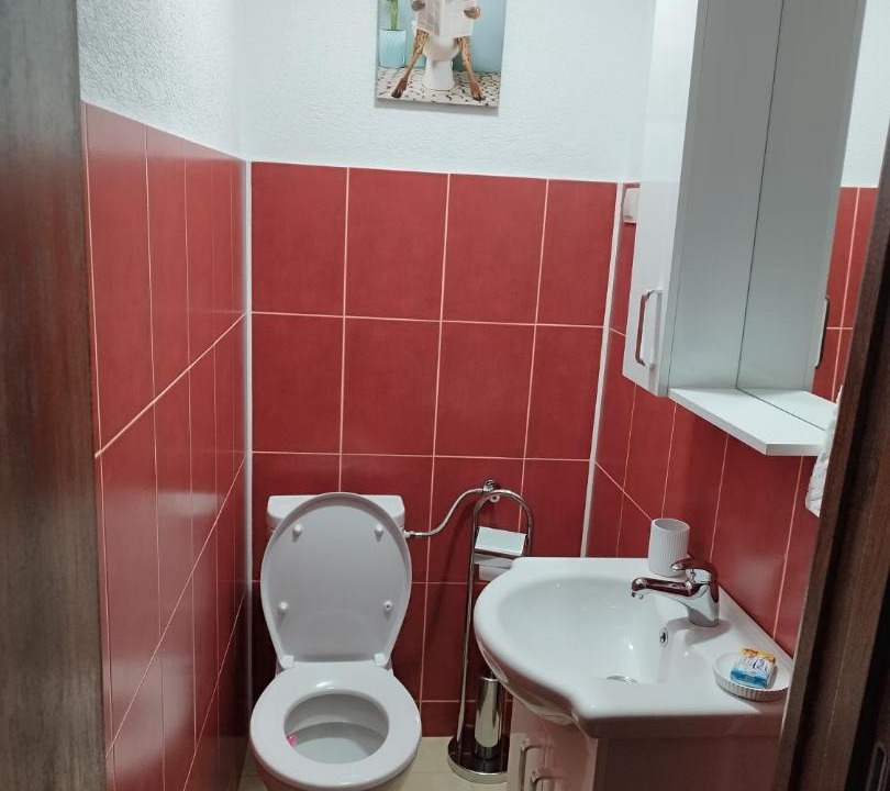 Photo of Others in Zabljak