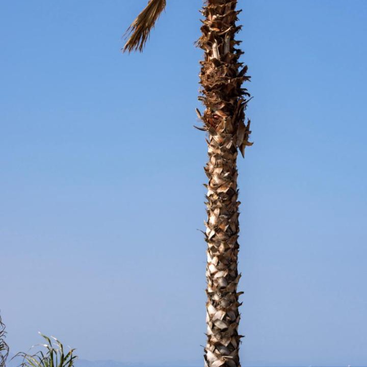 Photo of Others in Platis Gialos