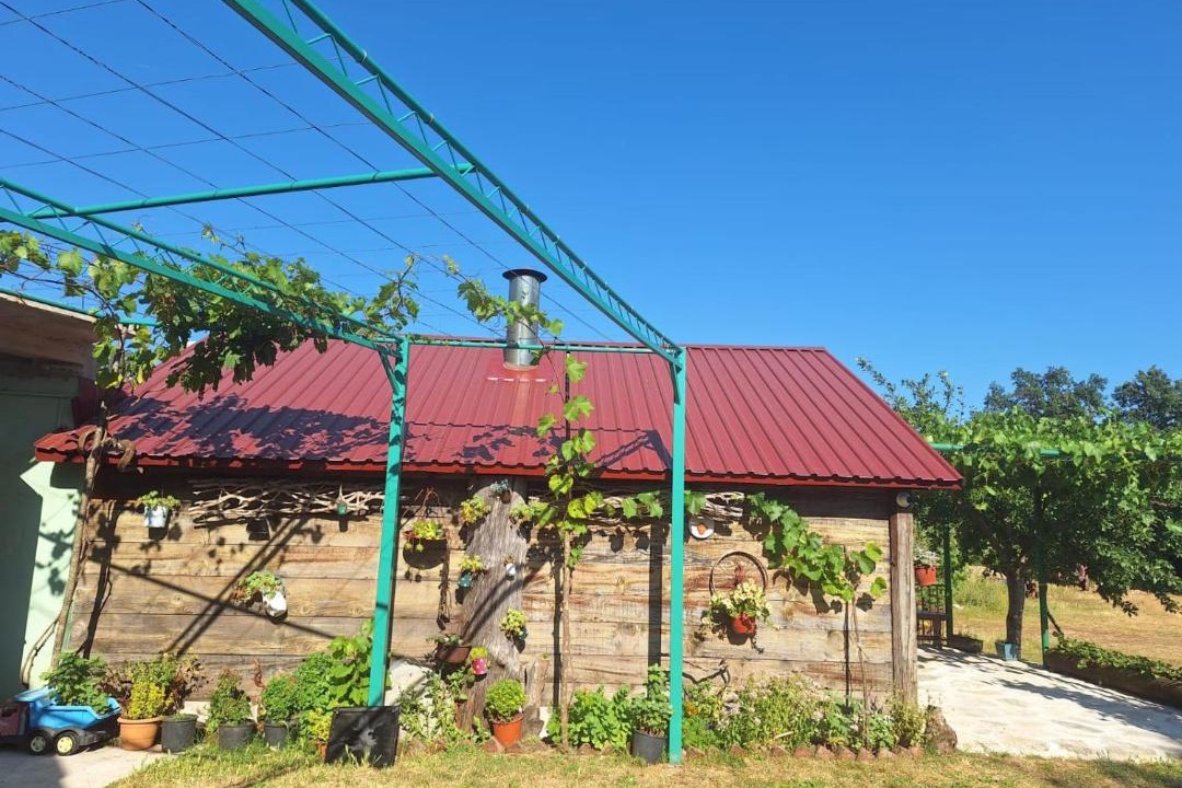 Photo of Others in Grahovo