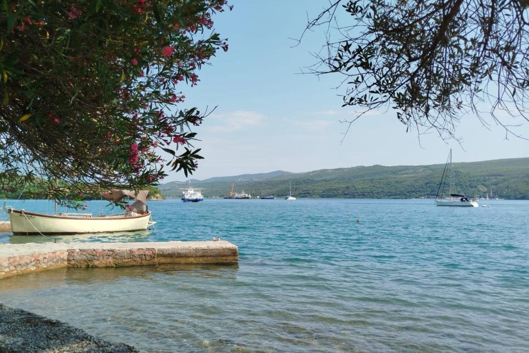 Photo of Others in Tivat