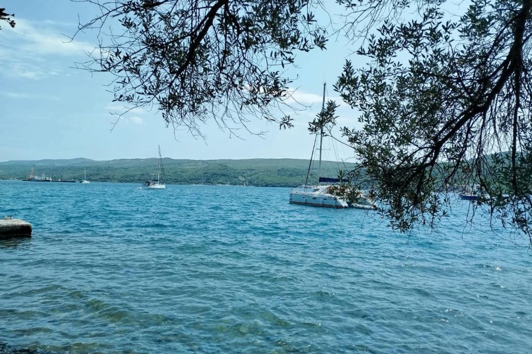 Photo of Others in Tivat