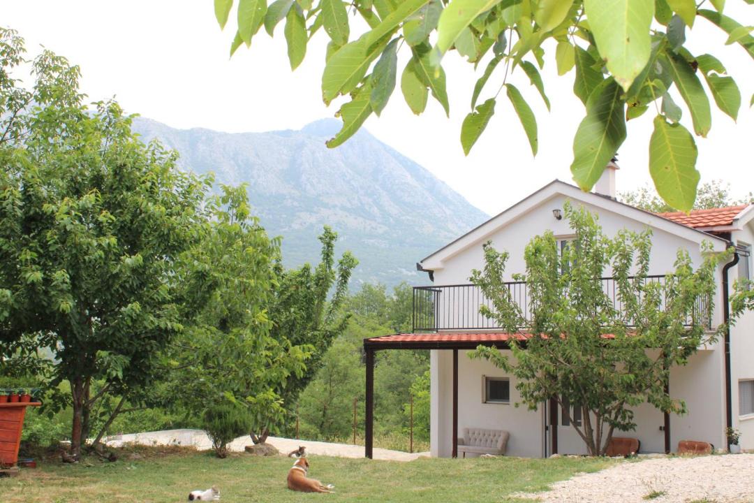 Photo of Others in Mokrine