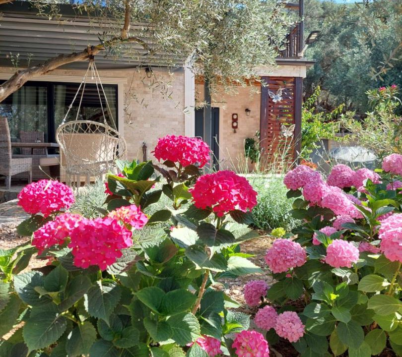 Photo of Others in Ulcinj