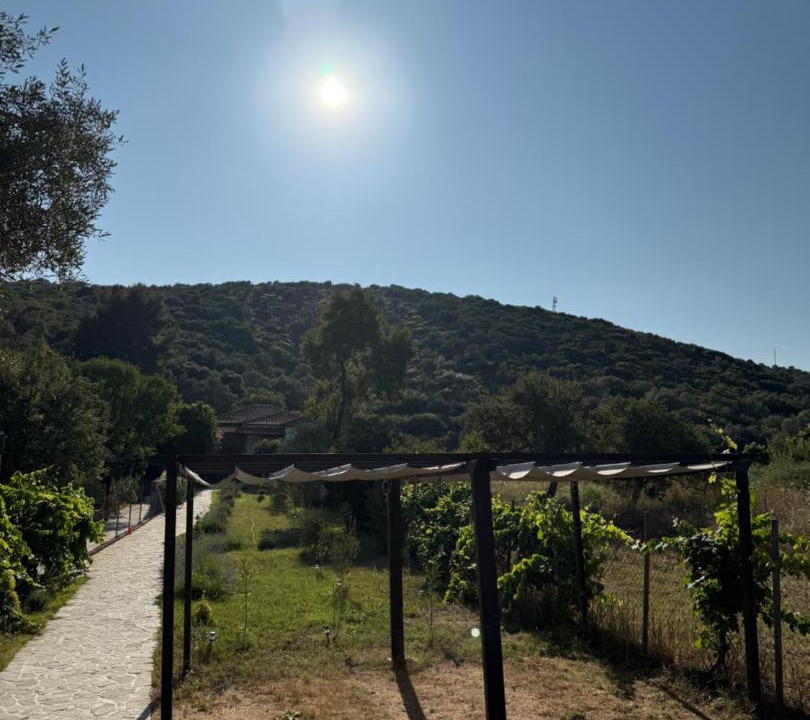Photo of Others in Aristotelis