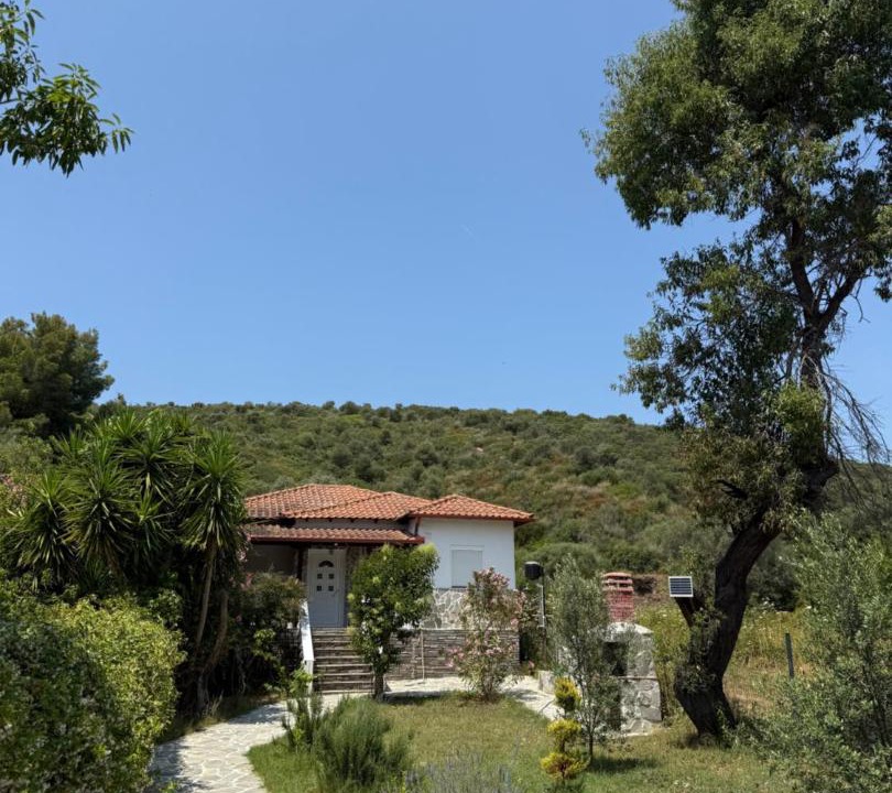 Photo of Others in Aristotelis