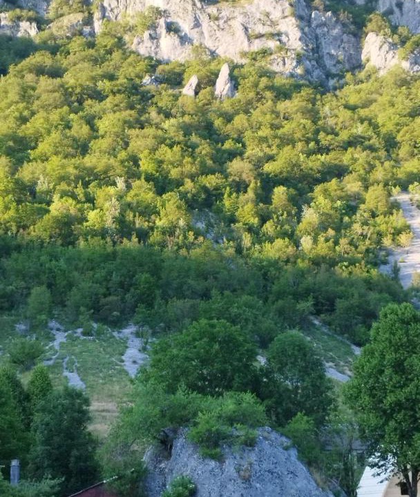 Photo of Others in Savnik