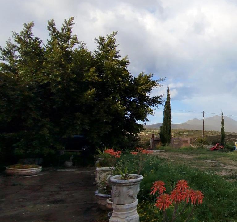 Photo of Others in Kithira