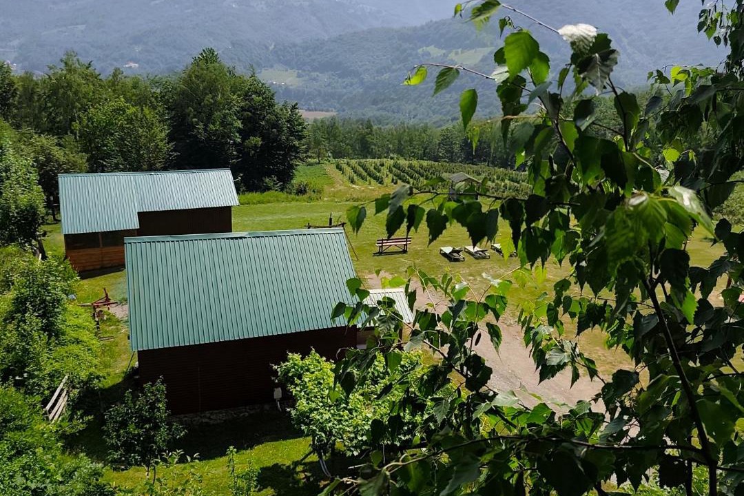 Photo of Others in Mojkovac