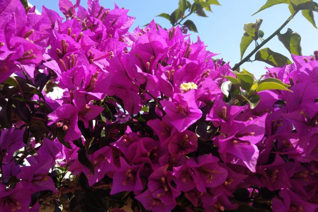 Photo of Outdoor in Susanj