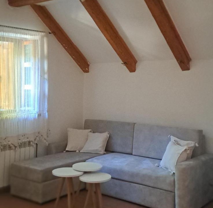 Photo of Livingroom in Cetinje