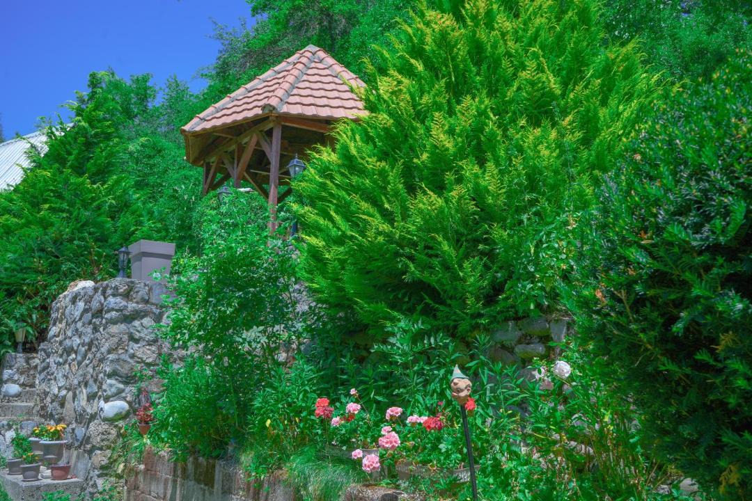 Photo of Others in Montenegro