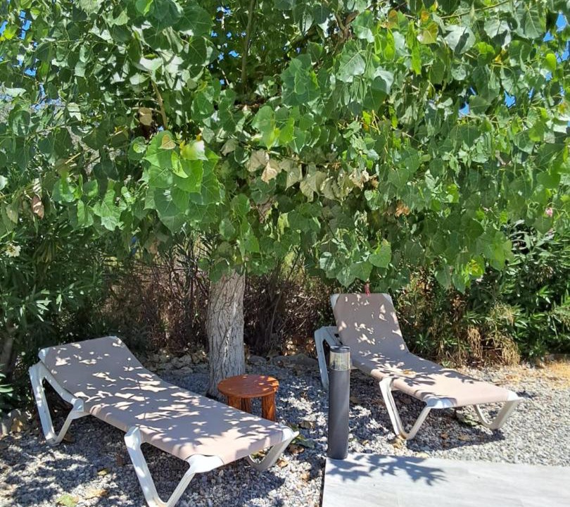 Photo of Others in Archangelos